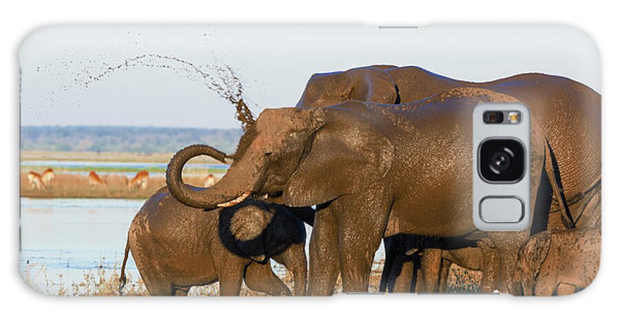Botswana Galaxy Case featuring the photograph Elephant Family by Franz Aberham