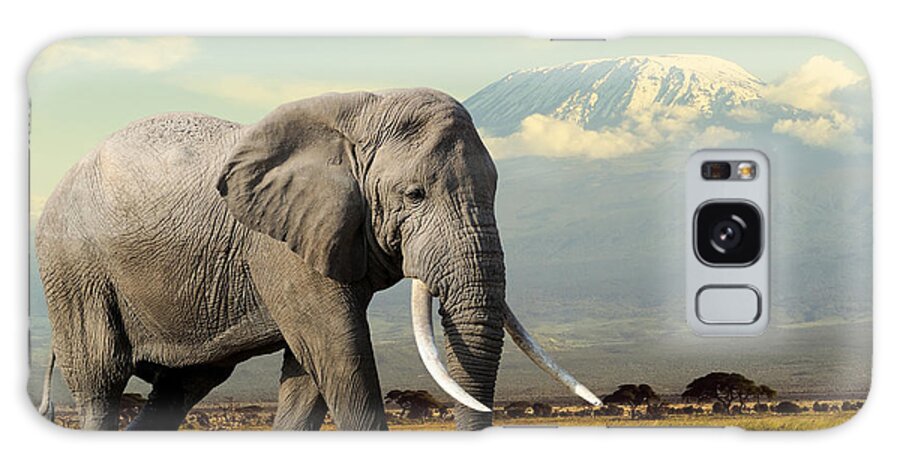 Big Galaxy Case featuring the photograph Elephant On Kilimajaro Mount Background by Volodymyr Burdiak