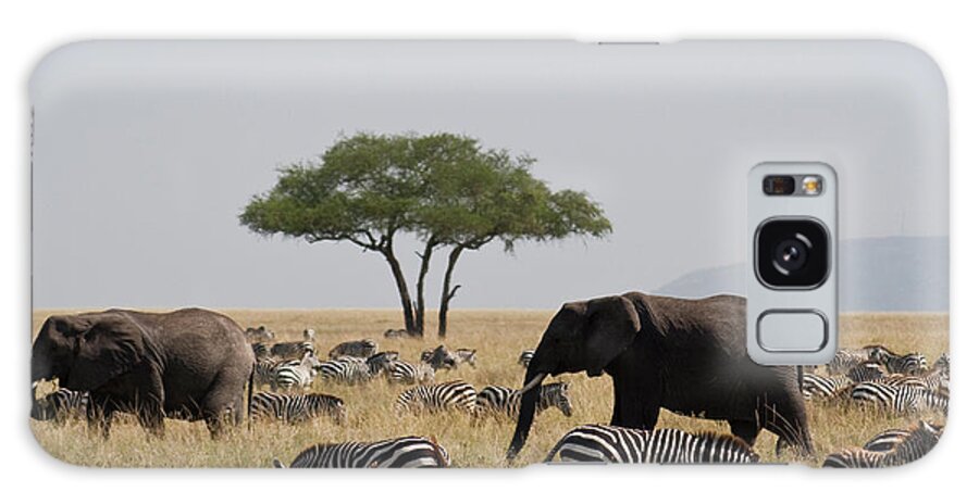 Grass Galaxy Case featuring the photograph Elephants And Zebra In The Serengeti by Wldavies