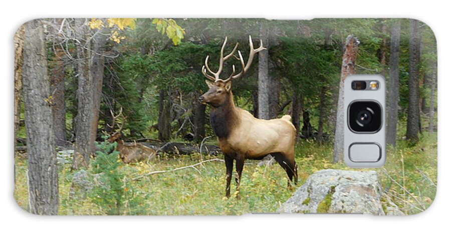  Galaxy Case featuring the photograph Elk II by Karen Stansberry