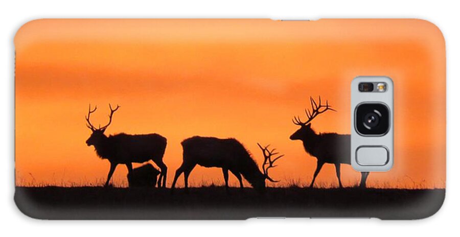 Elk Galaxy Case featuring the photograph Elk in the morning light by Keith Stokes