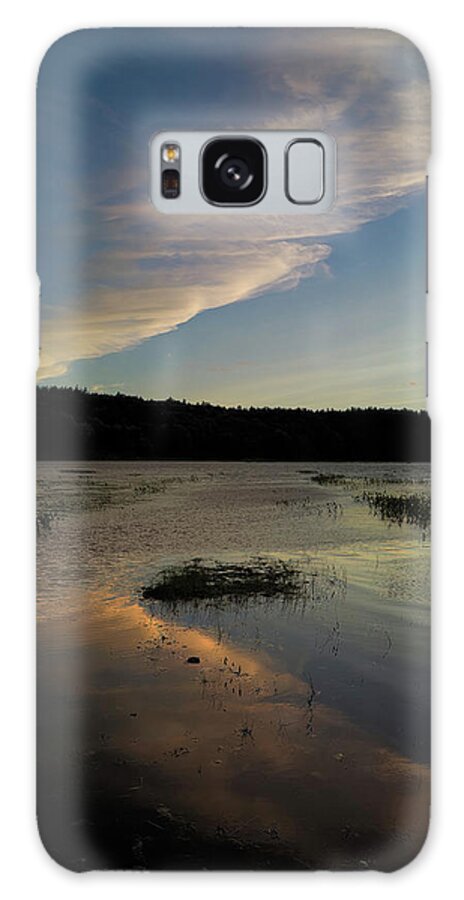 Clouds Galaxy Case featuring the painting Evening Flight by Jerry LoFaro