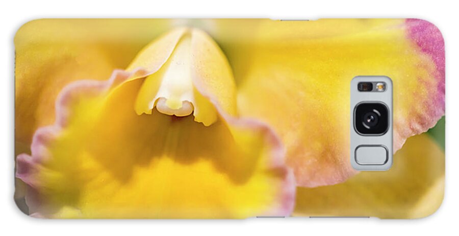Exotic Orchid 15 Galaxy Case featuring the photograph Exotic Orchid 15 by Eva Bane
