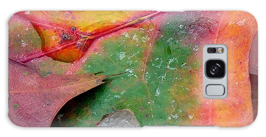 Autumn Galaxy Case featuring the photograph Fall Color and Snow by Amy Dundon