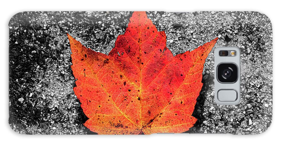 Foliage Galaxy S8 Case featuring the photograph Fall Foliage Orange Red Maple Leaf in a Rivulet by William Dickman