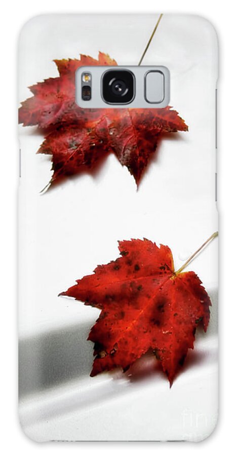 Maple Leaves Galaxy Case featuring the photograph Fallen Leaves by Joan Bertucci