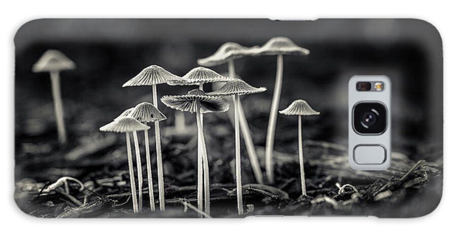 Art Galaxy Case featuring the photograph Fanciful Fungus-2 by Tom Mc Nemar