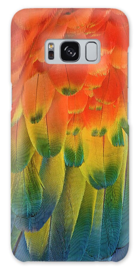 Macaw Galaxy Case featuring the photograph Feather Pattern, Scarlet Macaw by Adam Jones