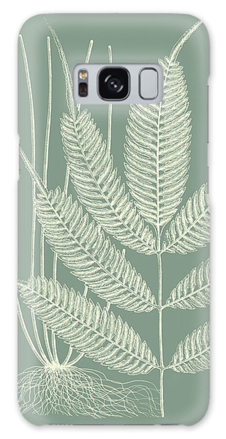  Galaxy Case featuring the painting Ferns On Sage II by Vision Studio
