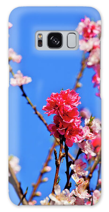 Pinks And Blues Galaxy Case featuring the photograph Pinks and Blues by Az Jackson