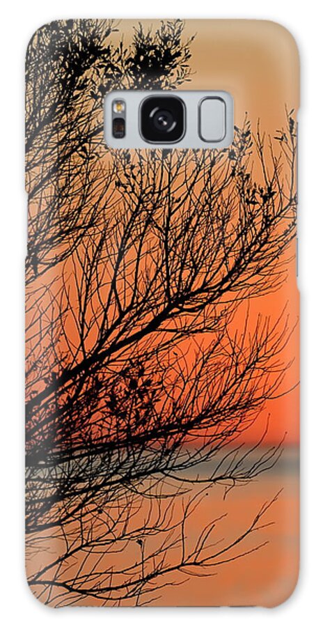 Sunset Galaxy Case featuring the photograph Fiery Sunset at St. Marks by Carla Parris
