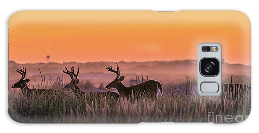 Deer Galaxy Case featuring the photograph Fire Island Dune Bucks by Sean Mills