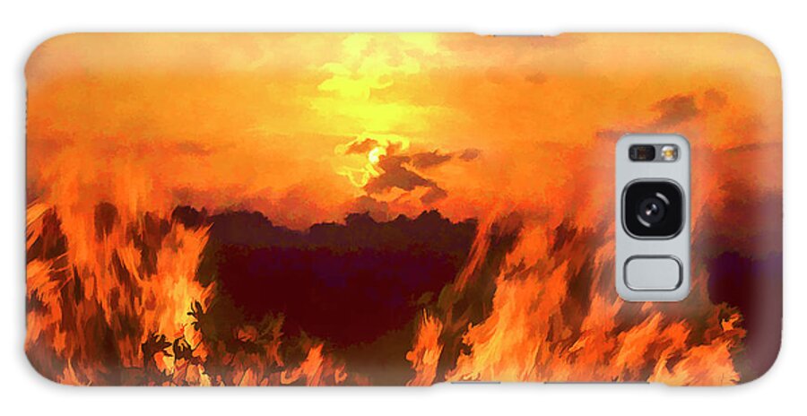 Big Cypress National Preserve Galaxy Case featuring the photograph Flame at Sunset by Robert Potts