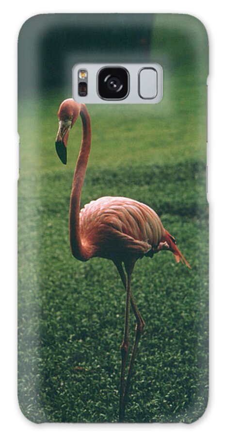 Flamingo Galaxy Case featuring the photograph Flamingo by American Eyes