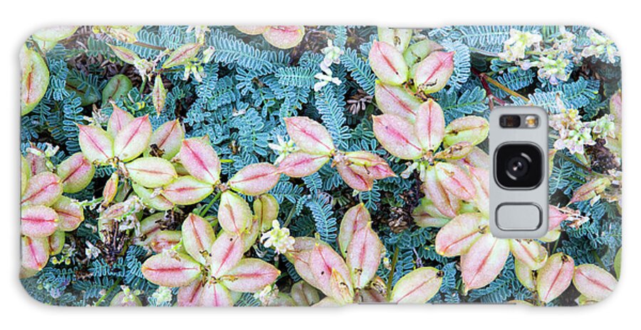 Flowers Galaxy Case featuring the photograph Flores Silvestres by Moises Levy