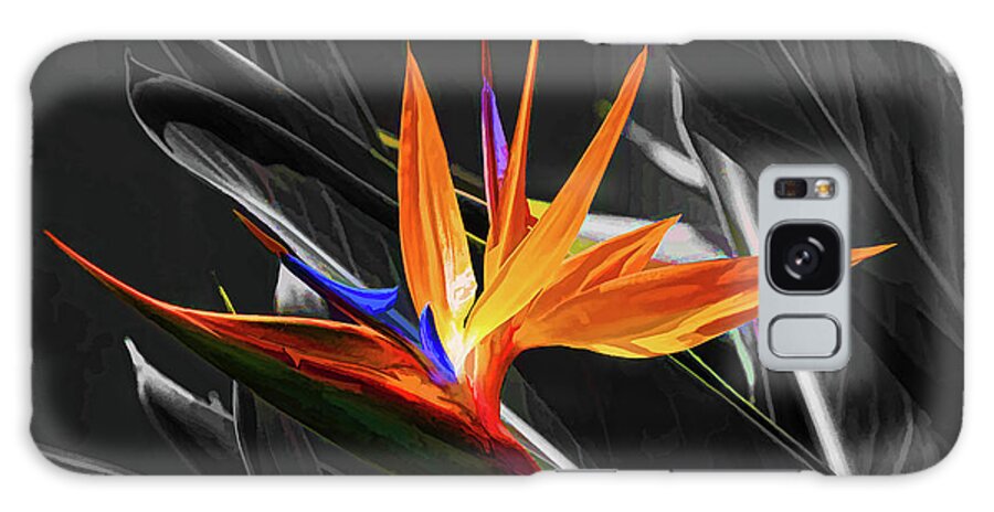 Bird Of Paradise Galaxy Case featuring the photograph Flower - A Bird In Paradise by HH Photography of Florida