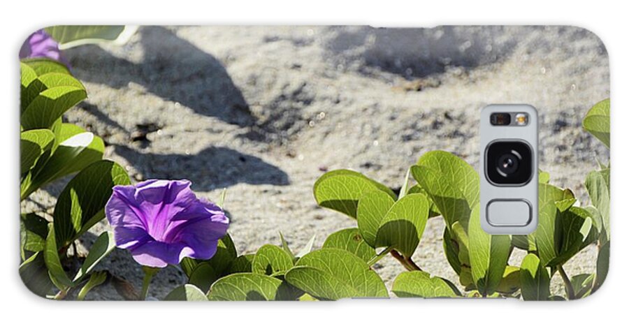 Railroad Vine Galaxy Case featuring the photograph Flower of the Sand by T Lynn Dodsworth