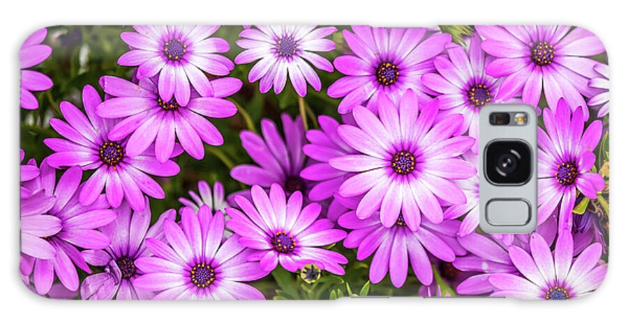 Flowers Galaxy Case featuring the photograph Flower Patterns Collection Set 04 by Az Jackson
