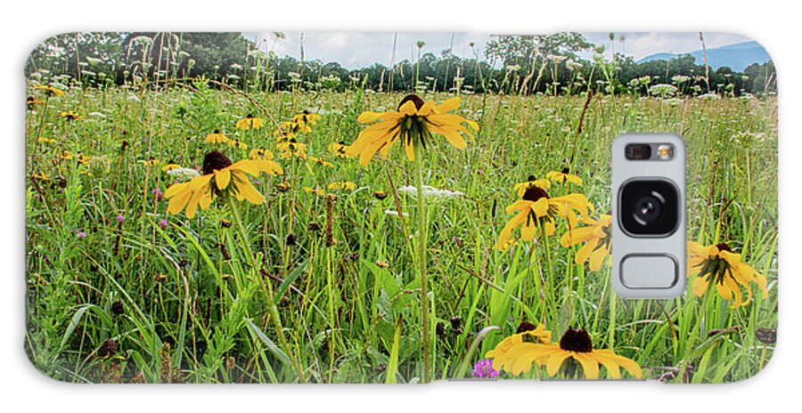 Clover Galaxy Case featuring the photograph Flowers of the Field, Cades Cove by Marcy Wielfaert