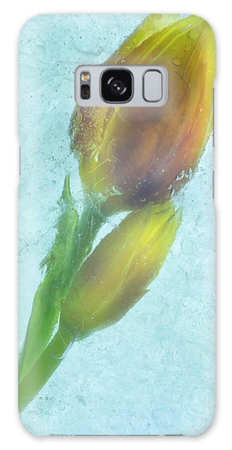 Flowers On Ice-4 Galaxy Case featuring the photograph Flowers On Ice-4 by Moises Levy