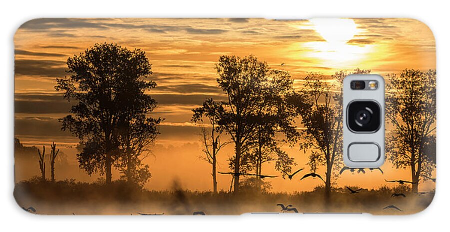 Ip_71314160 Galaxy Case featuring the photograph Flying Cranes And Wild Geese At Their Sleeping Place In A Pond With Sunrise, Red Sky And Red Water Reflection, Germany, Brandenburg, Neuruppin by Martin Siering Photography