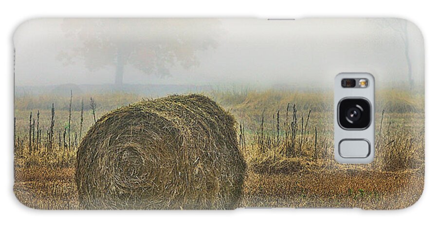 Bale Of Hay Galaxy Case featuring the photograph Foggy autumn morning near the beach by Cordia Murphy