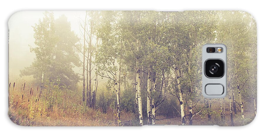 Autumn Galaxy Case featuring the photograph Foggy Colorado Aspen by Catherine Avilez
