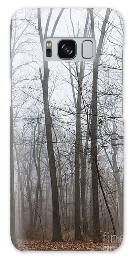 Trees Galaxy Case featuring the photograph Foggy In The Woods by Jennifer White
