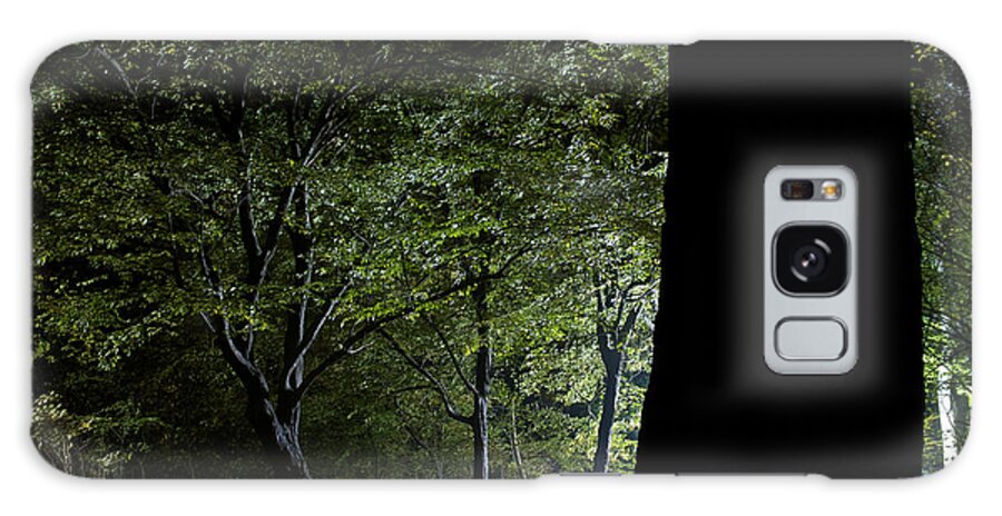 Gothic Style Galaxy Case featuring the photograph Forest Glow Trees Lit At Night by Peskymonkey
