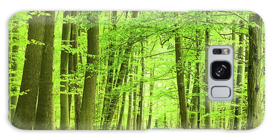 Curve Galaxy Case featuring the photograph Forest Path by Nikada
