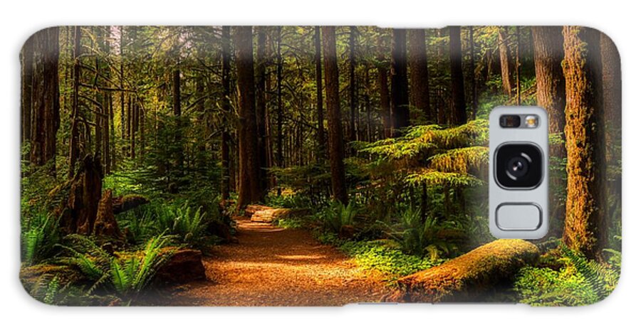 Olympic National Park Galaxy Case featuring the photograph Forest Tranquility by Mountain Dreams