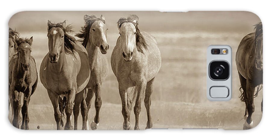 Wild Horses Galaxy Case featuring the photograph Free family 2 by Mary Hone