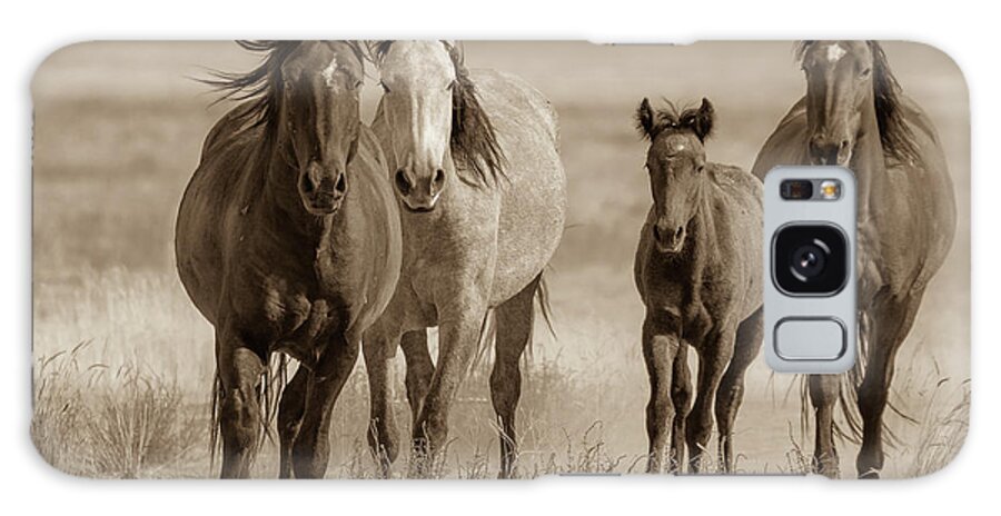 Wild Horses Galaxy Case featuring the photograph Free family by Mary Hone