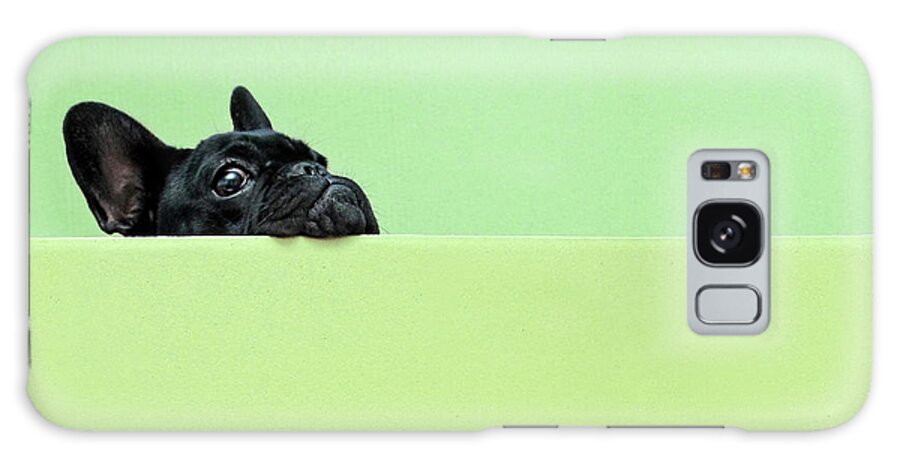 Pets Galaxy Case featuring the photograph French Bulldog Puppy by Retales Botijero