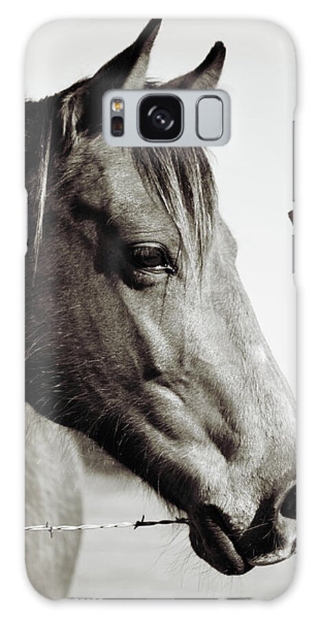 Horse Galaxy Case featuring the photograph Friendly Face by Toni Hopper