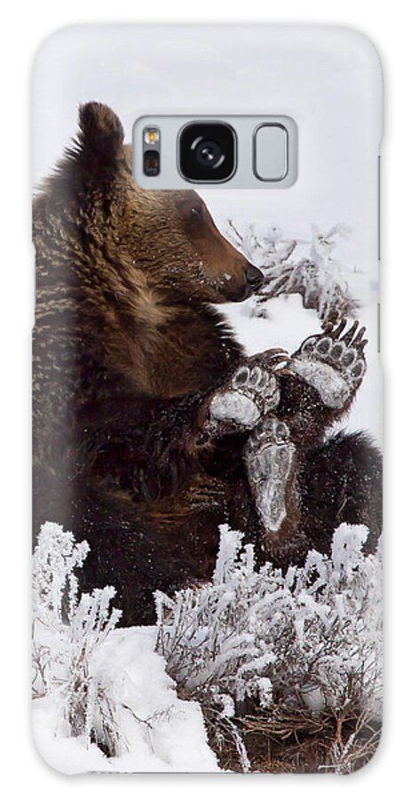Bear Galaxy S8 Case featuring the photograph Frosty Feet-Signed by J L Woody Wooden