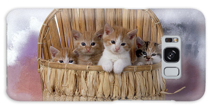 Animal Galaxy Case featuring the photograph Fs1808 Kittens (red) In Basket by Art House Design