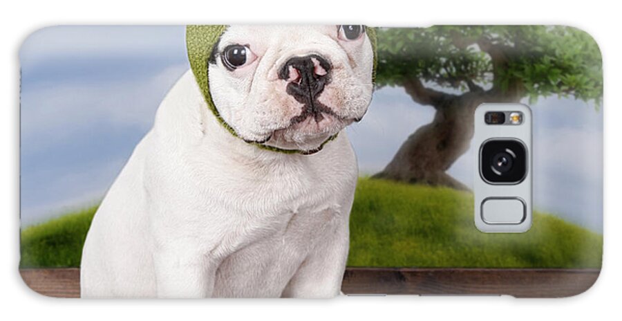 Pets Galaxy Case featuring the photograph Funny French Bulldog Puppy by Maika 777
