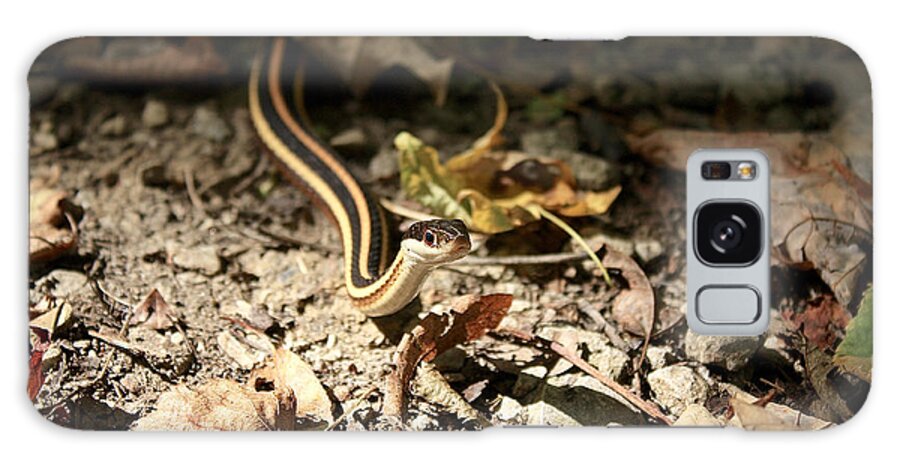 Garter Snake Galaxy Case featuring the photograph Garter by Nunweiler Photography