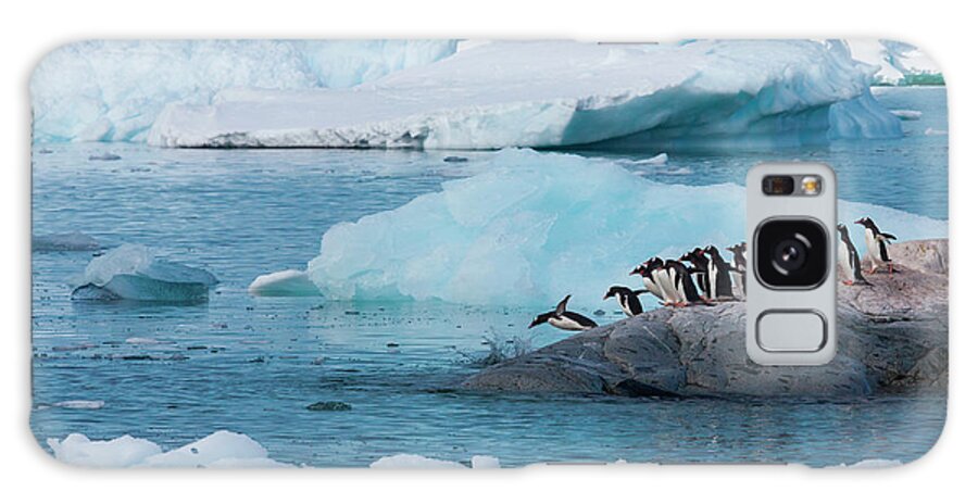 Iceberg Galaxy Case featuring the photograph Gentoo Penguins, Antarctica by Mint Images/ Art Wolfe
