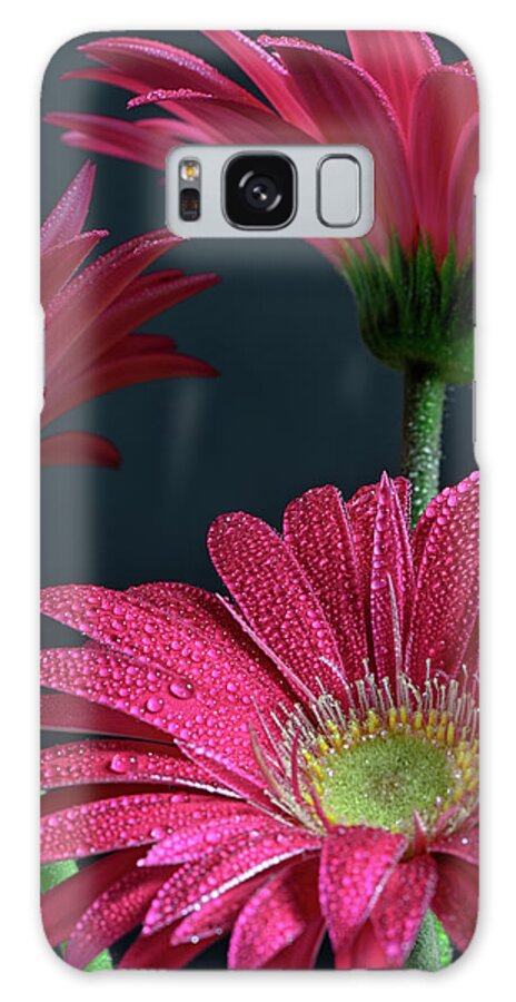 Gerbera Daisy Hdr-3 Galaxy Case featuring the photograph Gerbera Daisy Hdr-3 by Gordon Semmens