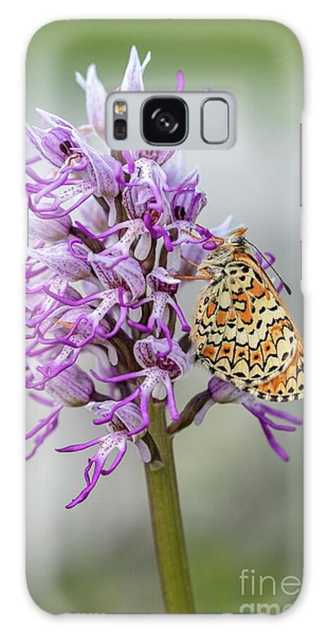 Plantlife Galaxy Case featuring the photograph Glanville Fritillary Butterfly by Bob Gibbons/science Photo Library