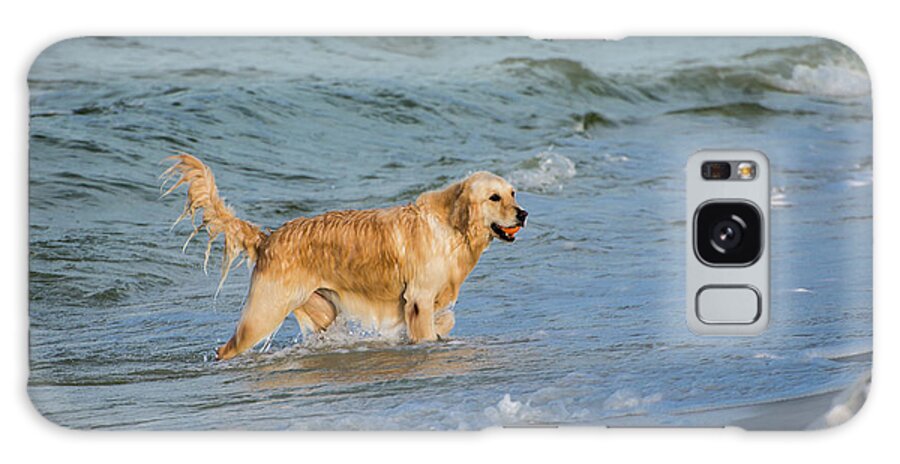 Pets Galaxy Case featuring the photograph Golden Retriever Beach by Ray Sandusky / Brentwood, Tn