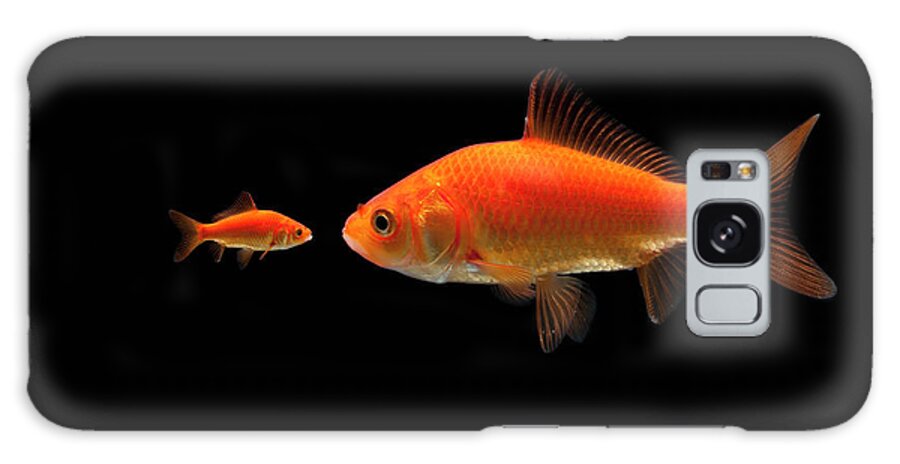 Concepts & Topics Galaxy Case featuring the photograph Goldfish by Mike Kemp