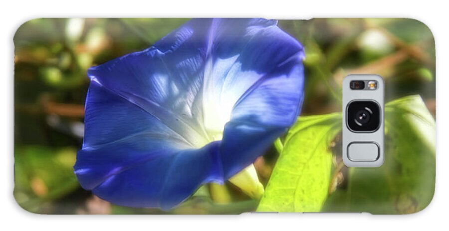 Morning Glory Galaxy Case featuring the photograph Good Morning Glory by Joan Bertucci