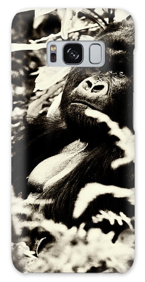 Gorilla Galaxy Case featuring the photograph Gorilla by Niassa Lion Project