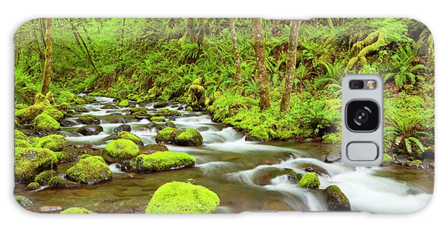 Scenics Galaxy Case featuring the photograph Gorton Creek Through Lush Rainforest by Sara winter