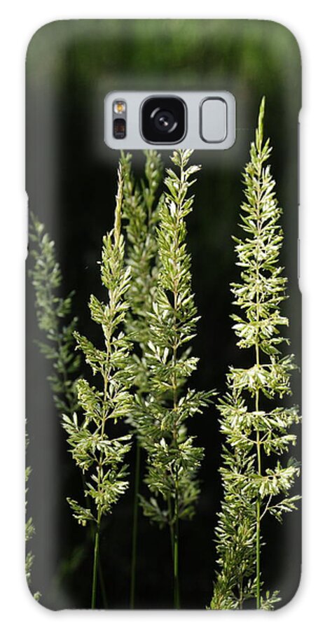  Galaxy Case featuring the photograph Grasses by Susie Rieple