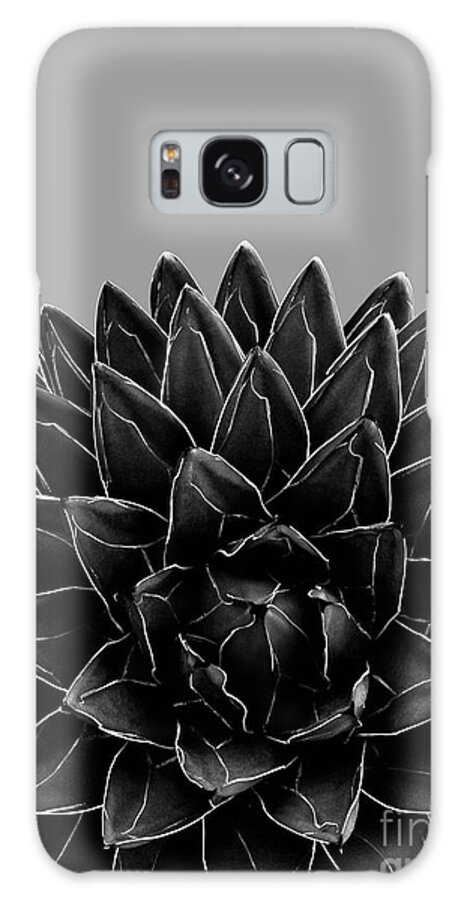 Black-and-white Galaxy Case featuring the mixed media Gray Black Agave Chic #1 #succulent #decor #art by Anitas and Bellas Art