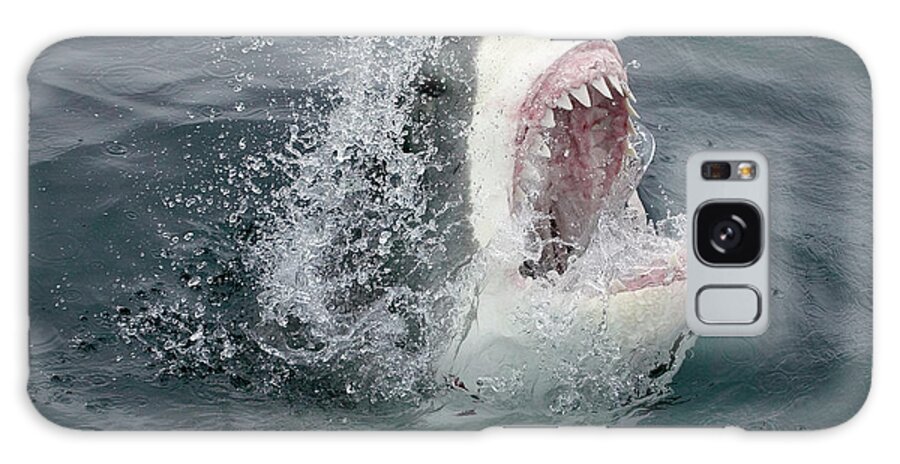 Emergence Galaxy Case featuring the photograph Great White Shark Emerging From The by Stephen Frink